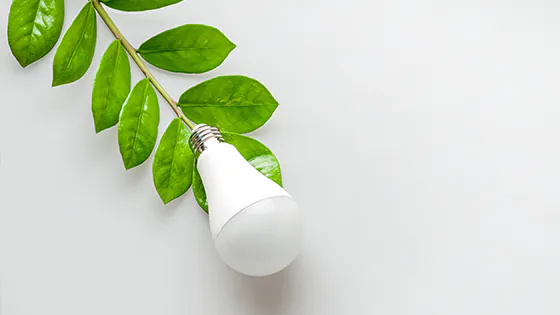 LED-Lampe mit Pflanze LED-Lampe mit Pflanze