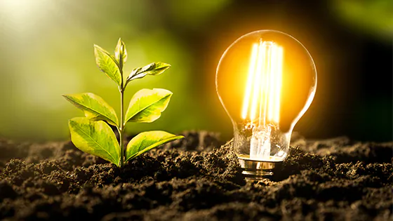 LED-Lampe LED-Lampe neben einem Blatt